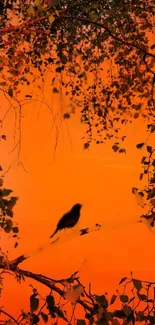 Bird silhouette at sunset with orange sky and tree branches.