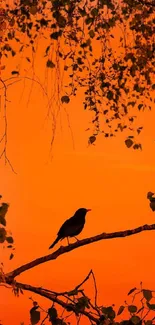 Silhouette of bird on branch against orange sunset.