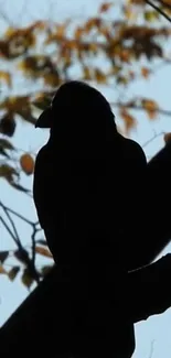 Bird silhouette on a tree branch against autumn leaves and sky.