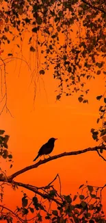 Bird silhouette against an orange sunset sky on a branch.