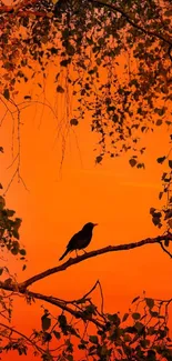 Vibrant sunset with bird silhouette on a tree branch.