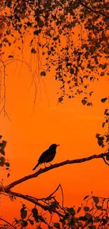 Silhouette of a bird perched against a vibrant orange sunset sky with trees.