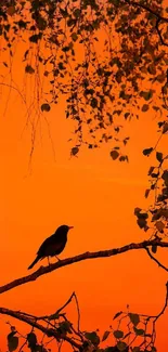 Bird silhouette against orange sunset sky with leafy branches.