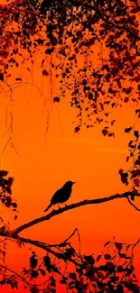 Silhouette of bird on branch at orange sunset.