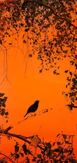 Bird silhouette on an orange sunset background, surrounded by tree branches.