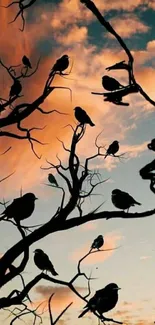 Silhouette of branches with birds against sunset.