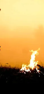 Silhouette of person by a glowing campfire under an orange sky.