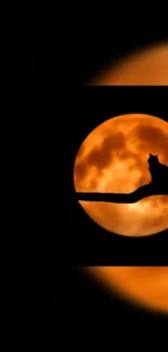 Silhouette of a cat on a branch with a bright orange full moon in the background.