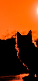 A cat's silhouette against an orange sunset sky.