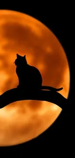 Silhouette of a cat on a branch before a large orange moon.