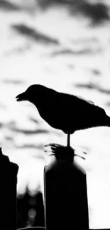 Silhouette of a crow perched on a fence with a black and white sky.