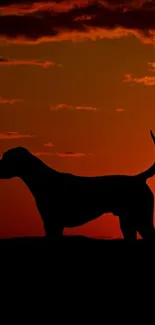 Dog silhouette against an orange sunset sky wallpaper.