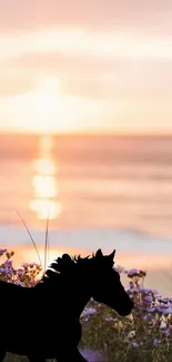 Horse silhouette on a beach with a stunning sunset backdrop.