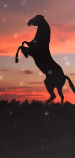 Silhouette of a rearing horse against a vibrant red sunset background.