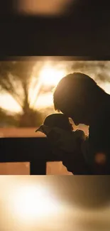 Silhouette of a parent holding a child against a sunset backdrop.