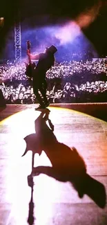 Silhouette of a performer with a guitar onstage in front of a live audience.