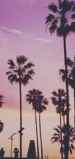 Vibrant sunset with palm silhouettes against a purple sky.