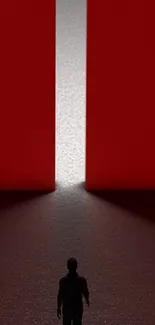 Mysterious silhouette against a large red wall.