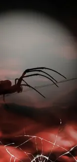 Spider silhouette on a red night sky wallpaper.