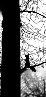 Black and white wallpaper of a squirrel silhouette on a tree branch.