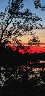 Silhouette of trees against a vibrant sunset reflected on water.