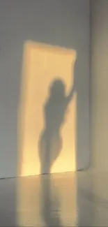 Silhouette shadow art on wall with warm golden sunset.