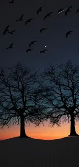 Silhouette trees with sunset and birds in flight wallpaper.