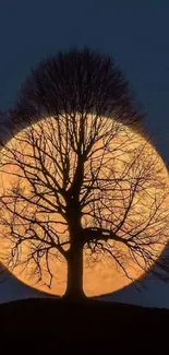 Silhouette of a tree against a full moon in a dark night sky.