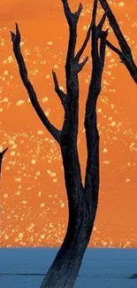 Silhouette trees on vibrant orange sunset wallpaper.