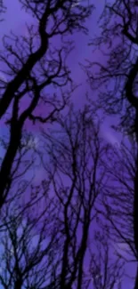 Silhouetted trees against a purple sky, highlighting night elegance.