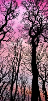 Silhouette of trees under a vibrant pink sunset sky.