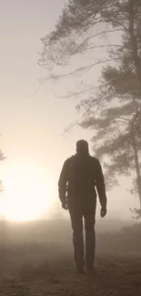 Silhouette of a person walking in a foggy sunrise forest.