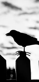 Silhouette of a crow perched on a fence under a cloudy sky in black and white.