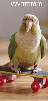 Parrot enjoying a skateboard ride on a wooden floor.