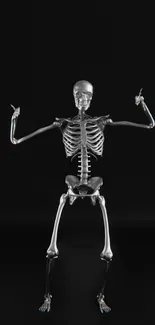 Detailed skeleton on a black background mobile wallpaper.