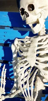 A skeleton sitting on a bright blue bench with sunlight casting shadows.