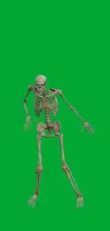 Artistic skeleton with green background, perfect for mobile wallpaper.