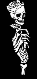 Artistic skeleton holding rose on a black background.