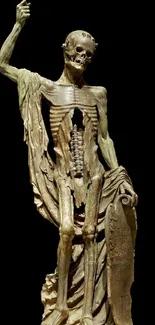 Life-like skeleton statue on black mobile wallpaper.