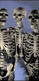 Artistic skeleton trio on dark wallpaper