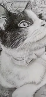 Monochrome sketch of a cat looking upwards with detailed features.