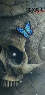 Wallpaper with skull and blue butterfly on a textured background.