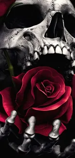 Gothic skull holding a red rose in a dark aesthetic art design.