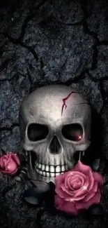 A skull with pink roses on a dark cracked background.