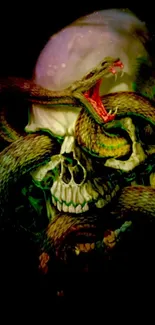 Skull with intertwined snakes artwork in dark green tones on mobile wallpaper.