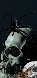 Dark wallpaper with a spider on a skull.