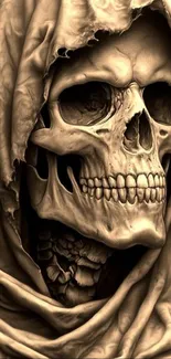 Detailed skull wrapped in a tattered cloak.
