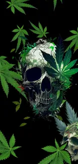 Skull with cannabis leaves on a dark background mobile wallpaper.