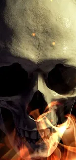 Fiery skull mobile wallpaper with flames.