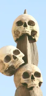 Three skulls mounted on a wooden post against a pale blue sky.